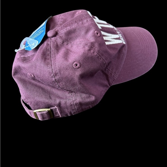 Life is Good WTF Where’s The Fish Adult Adjustable Chill Cap Hat - Picture 6 of 11